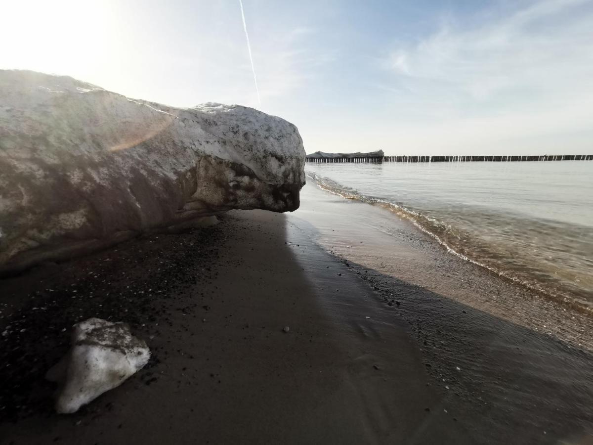 Goscinny Dom Kaola Rewal Exteriör bild